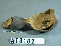 藏品(占卜用彩繪葫蘆)的圖片